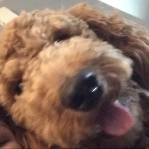 Meet your Posher, Sara